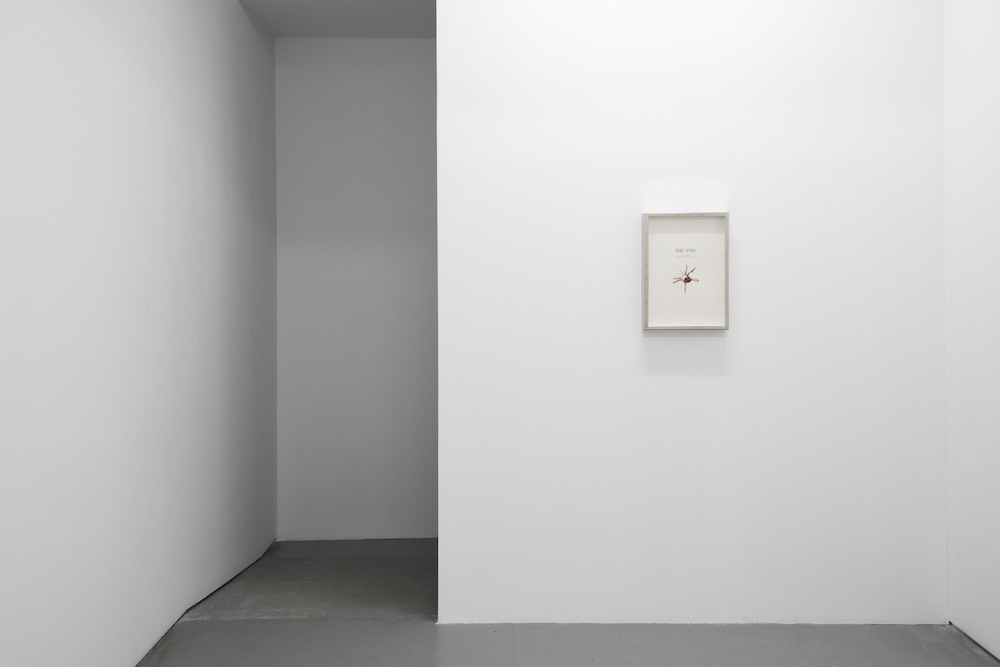 Carlos Aires  Sabrina Amrani 