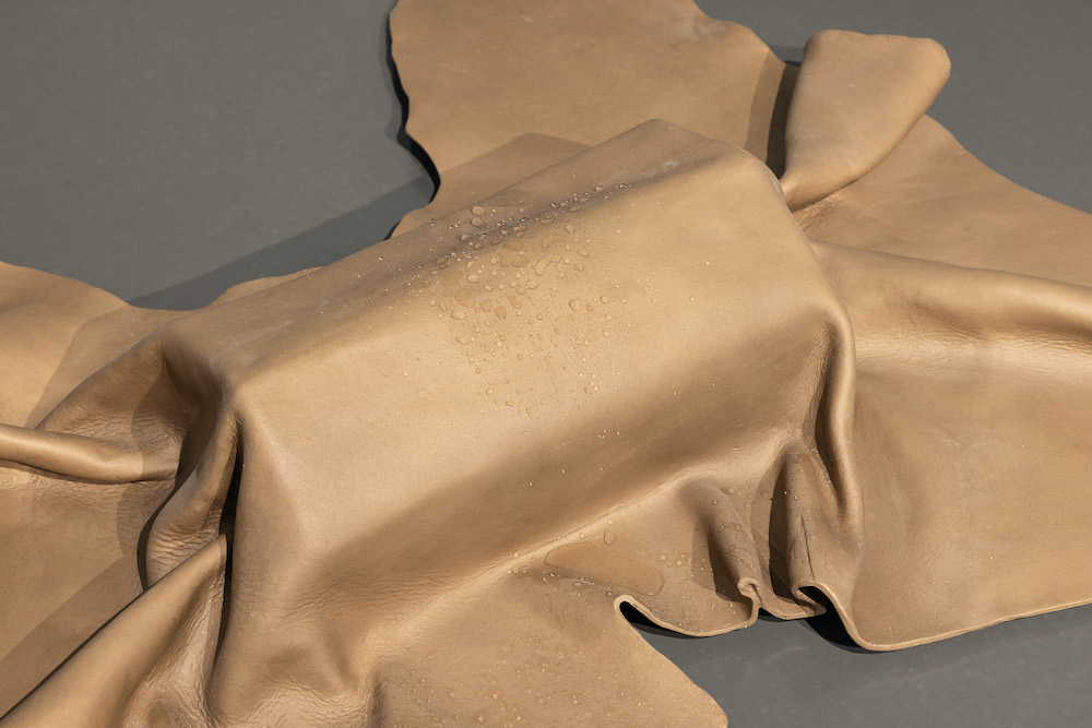 Isabel Cordovil Pedro Cera 