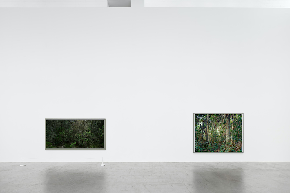 Thomas Struth Galerie Max Hetzler 