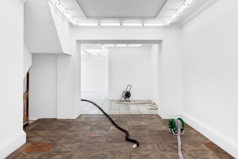 Nicole Wermers Herald St 