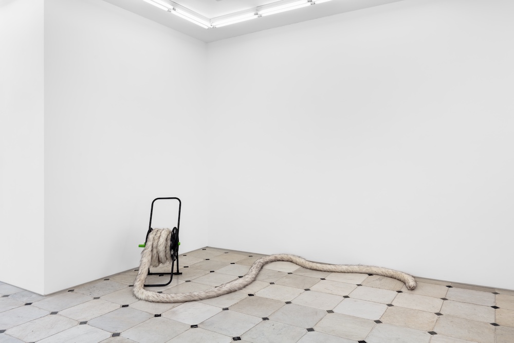 Nicole Wermers Herald St 