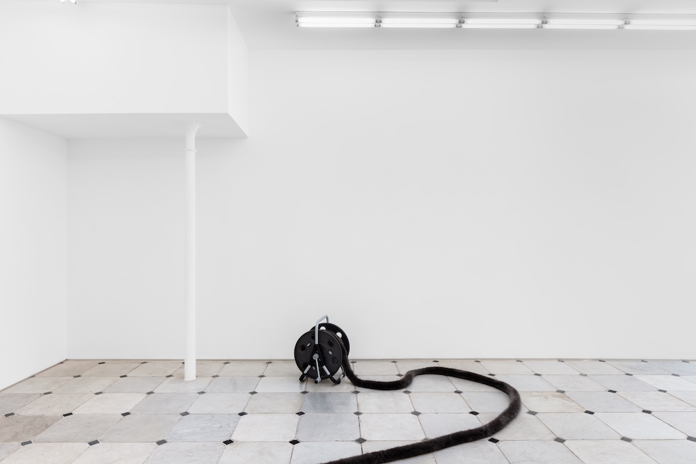 Nicole Wermers Herald St 