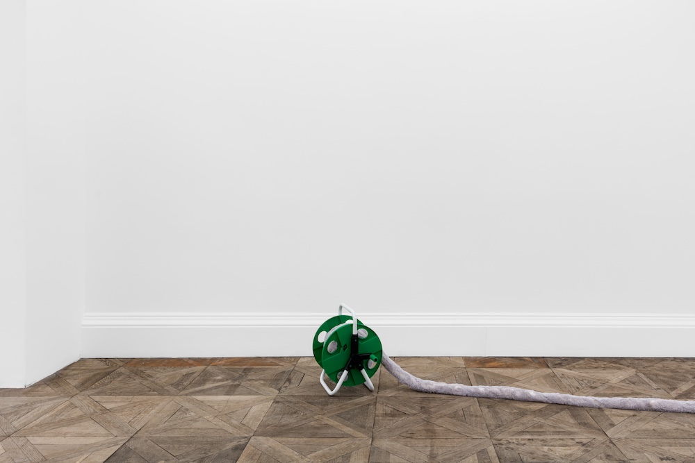 Nicole Wermers Herald St 