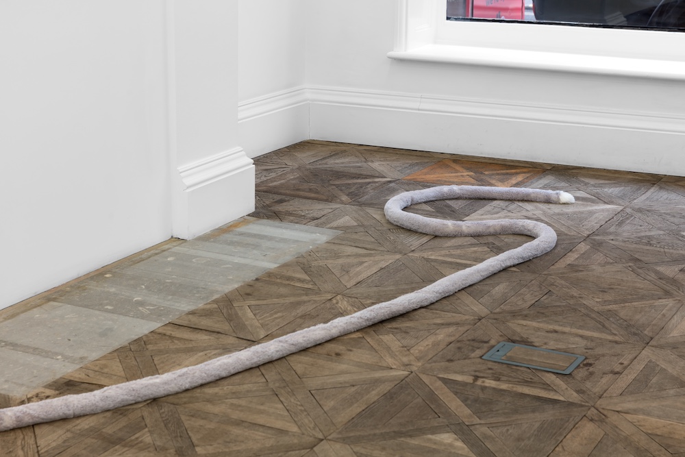 Nicole Wermers Herald St 