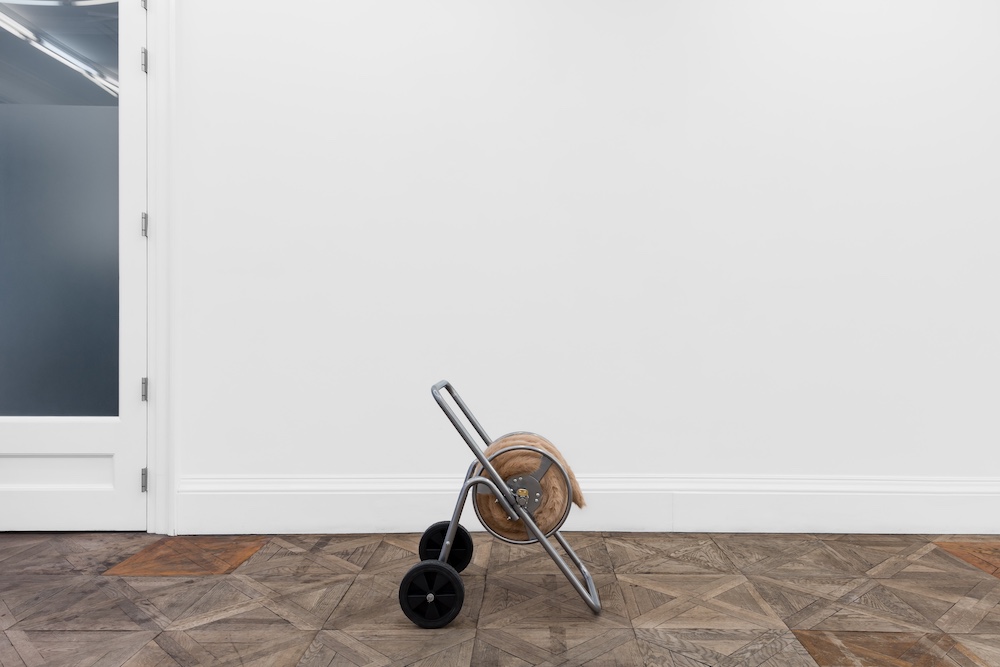 Nicole Wermers Herald St 