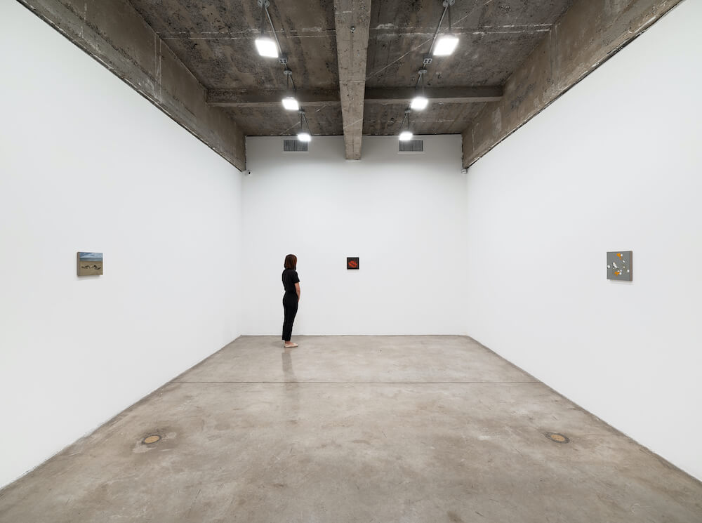 Dana Powell Tanya Bonakdar Gallery 