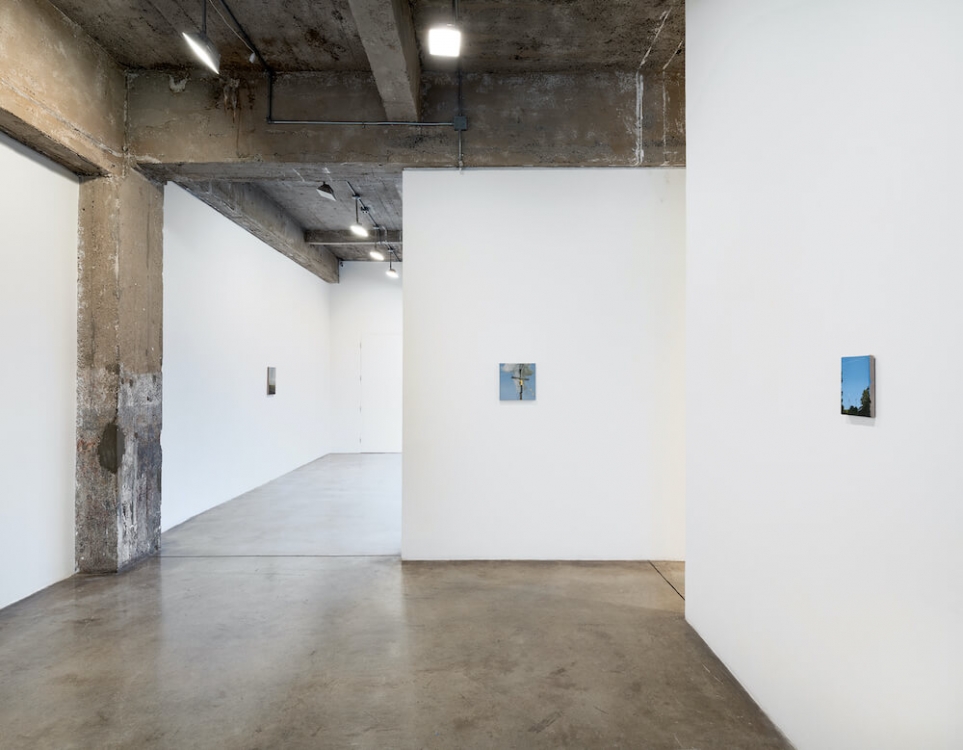 Dana Powell Tanya Bonakdar Gallery 