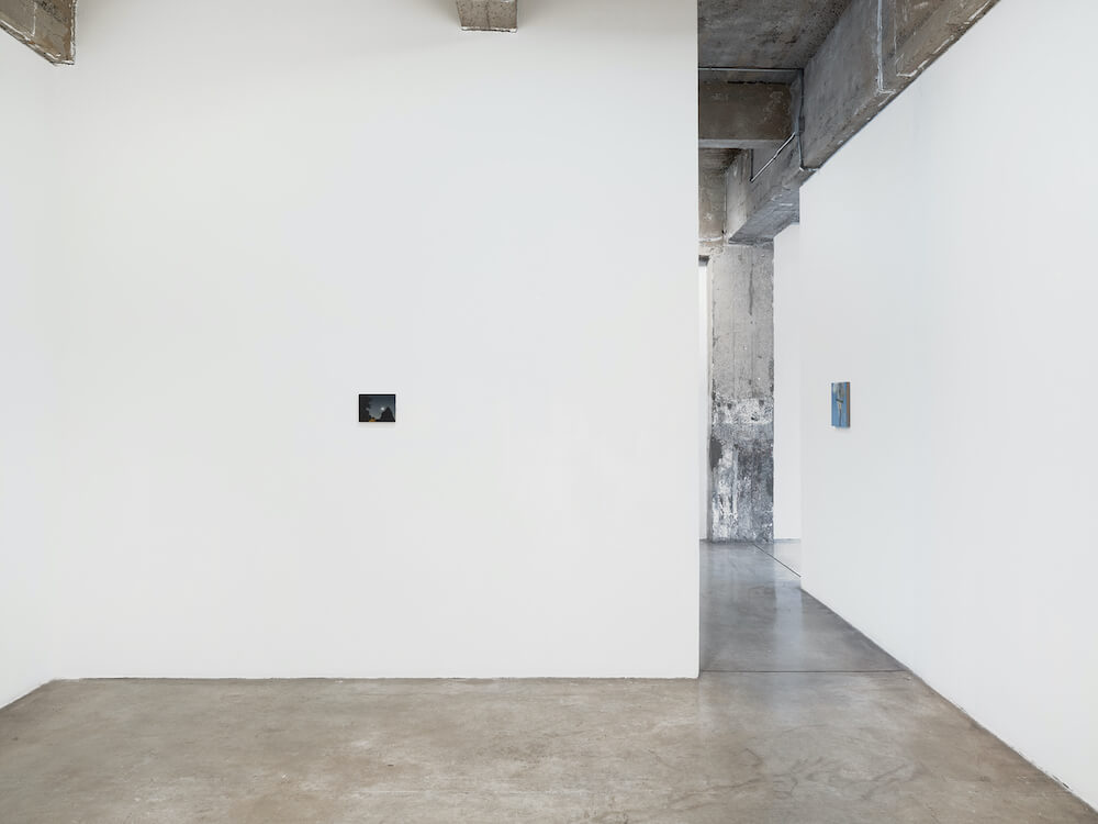 Dana Powell Tanya Bonakdar Gallery 