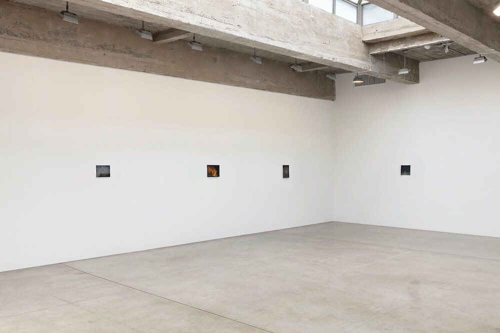 Dana Powell Tanya Bonakdar Gallery 