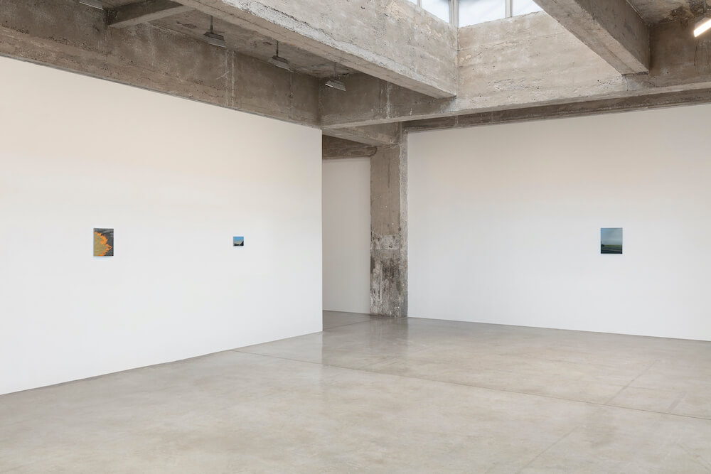 Dana Powell Tanya Bonakdar Gallery 