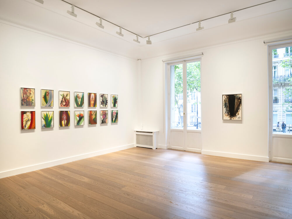 Arnulf Rainer Galerie Lelong 