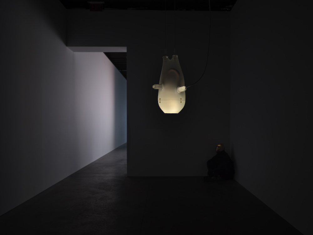 Pierre Huyghe Marian Goodman Gallery 