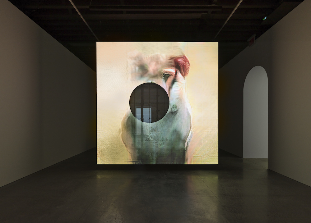 Pierre Huyghe Marian Goodman Gallery 