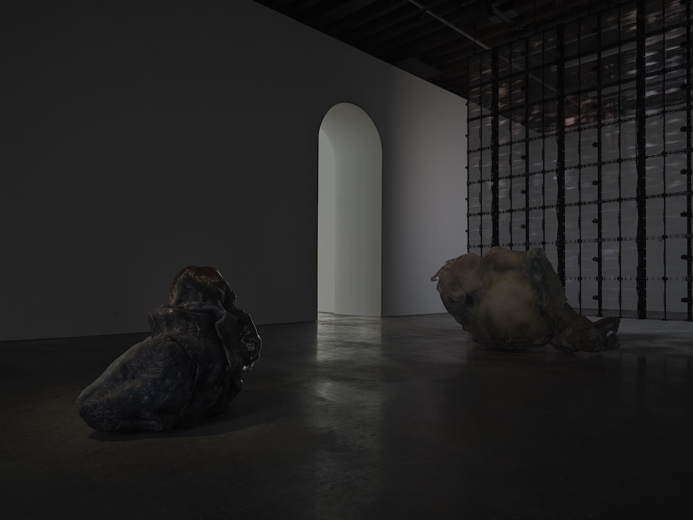 Pierre Huyghe Marian Goodman Gallery 
