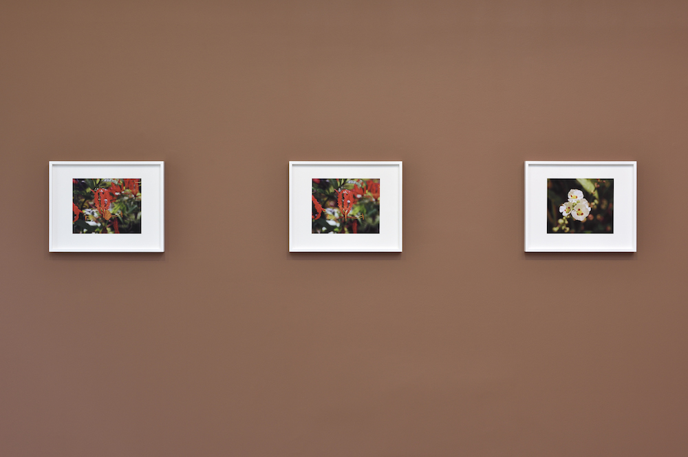 Steve McQueen Marian Goodman Gallery 