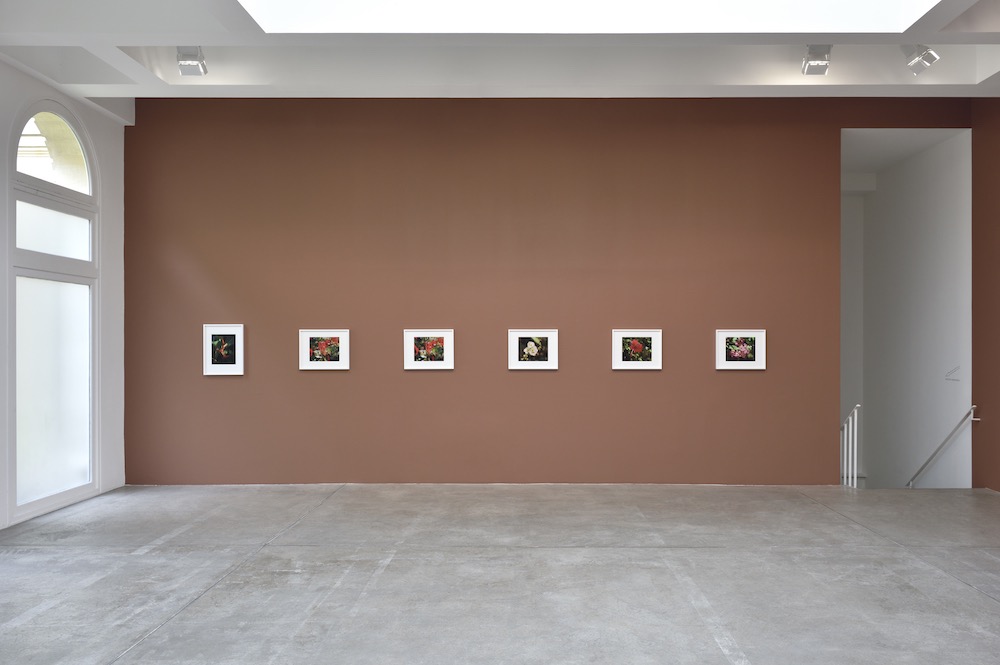 Steve McQueen Marian Goodman Gallery 