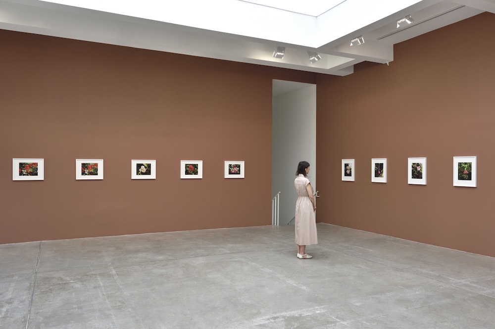 Steve McQueen Marian Goodman Gallery 