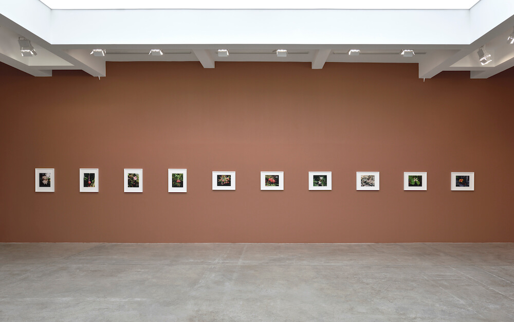 Steve McQueen Marian Goodman Gallery 