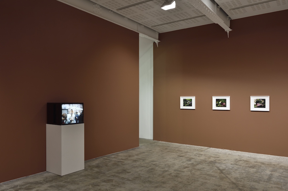 Steve McQueen Marian Goodman Gallery 