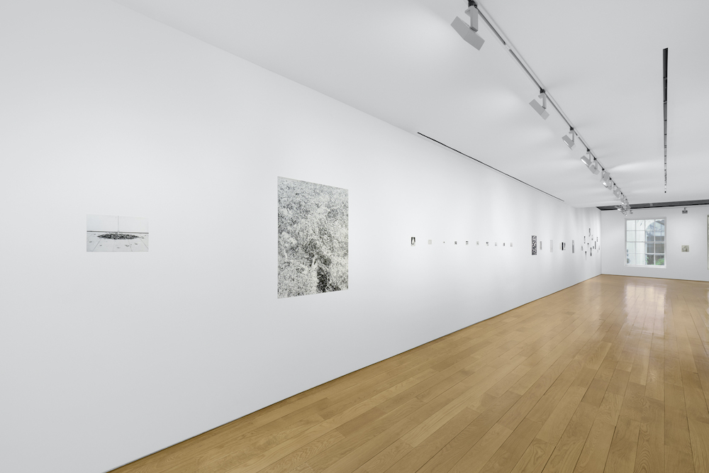 Jochen Lempert Anton Kern Gallery 