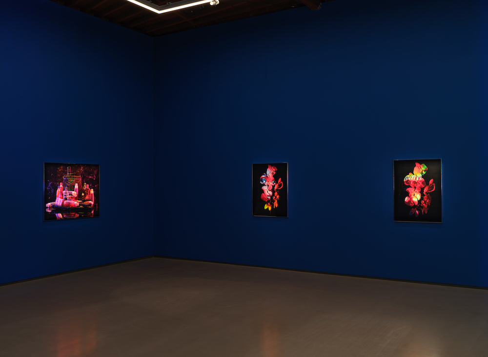 Awol Erizku Sean Kelly 