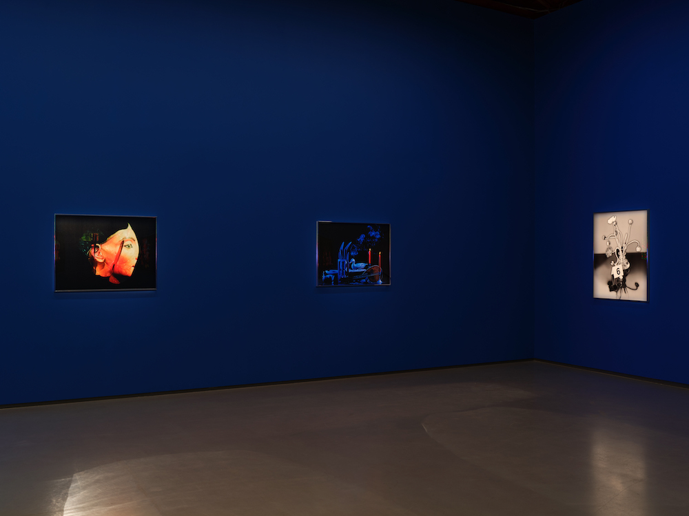 Awol Erizku Sean Kelly 