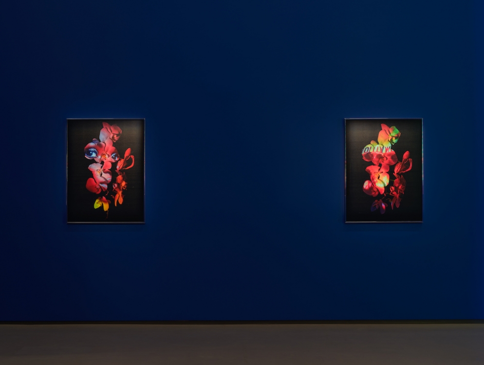 Awol Erizku Sean Kelly 