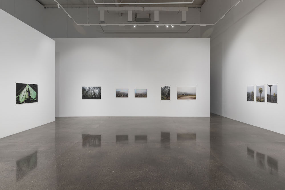 Omar Al Gurg Lawrie Shabibi 