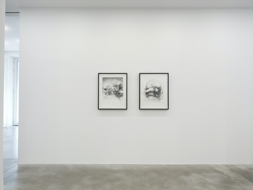 Hiroki Tsukuda Galerie Gisela Capitain 