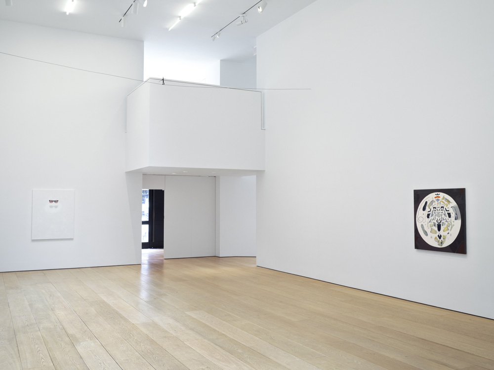 Tom Friedman Lehmann Maupin 