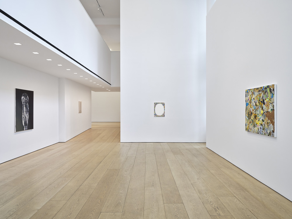 Tom Friedman Lehmann Maupin 