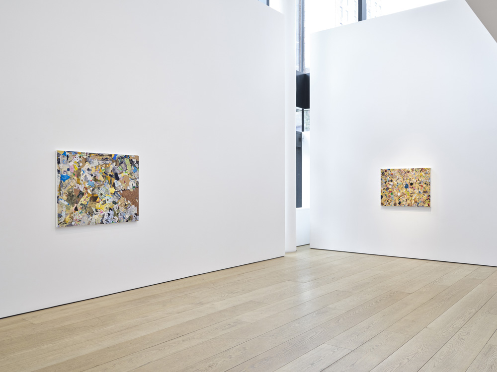 Tom Friedman Lehmann Maupin 