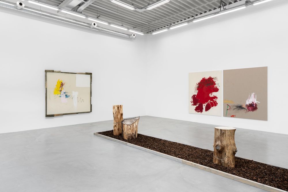 Jenny Brosinski Almine Rech 