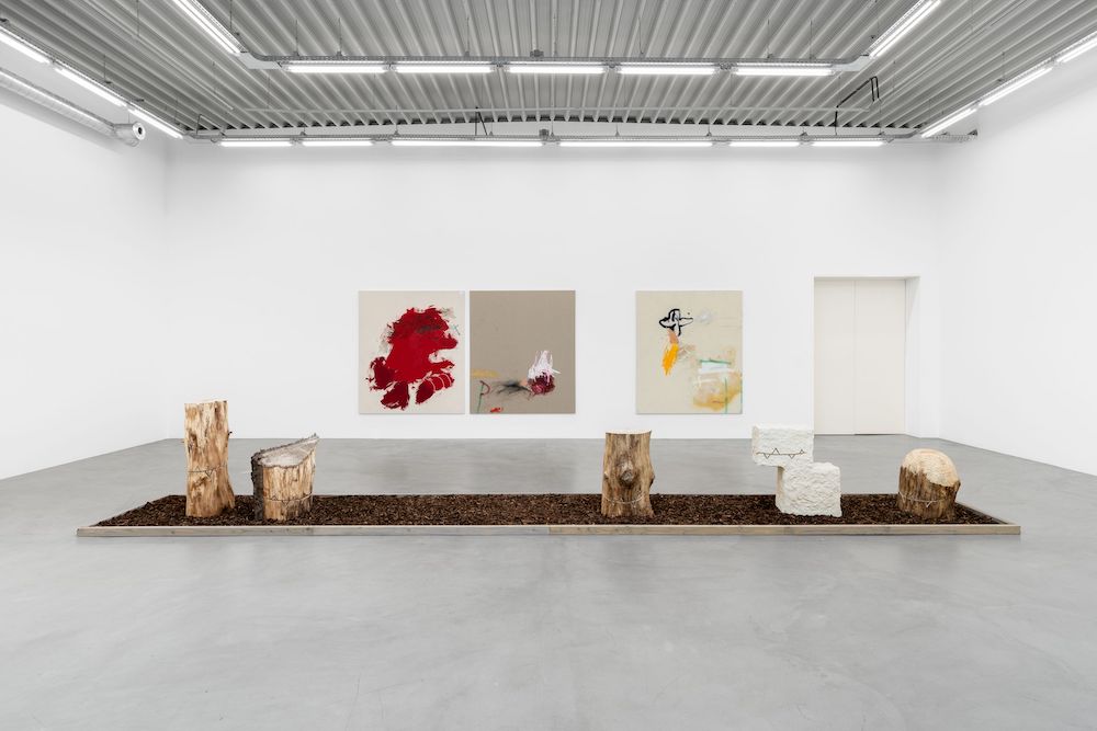 Jenny Brosinski Almine Rech 