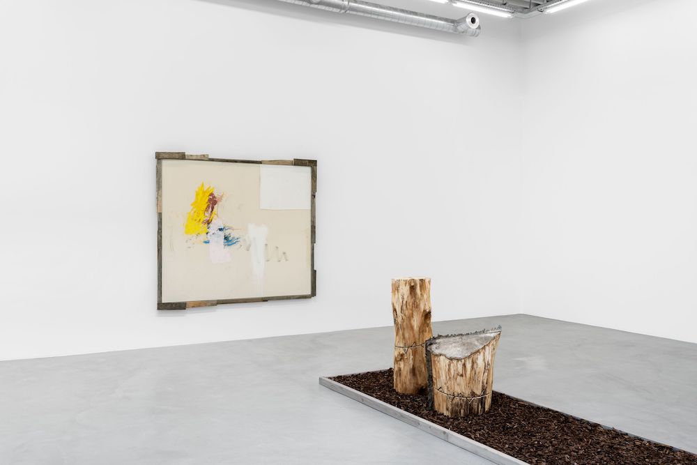 Jenny Brosinski Almine Rech 