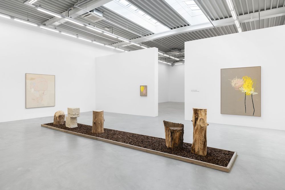 Jenny Brosinski Almine Rech 