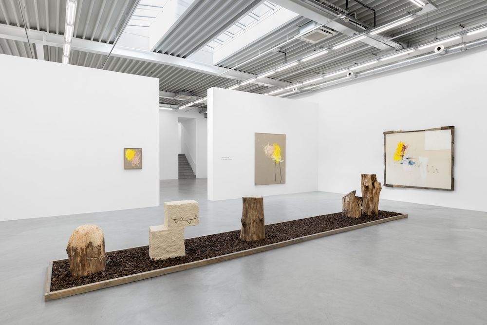 Jenny Brosinski Almine Rech 