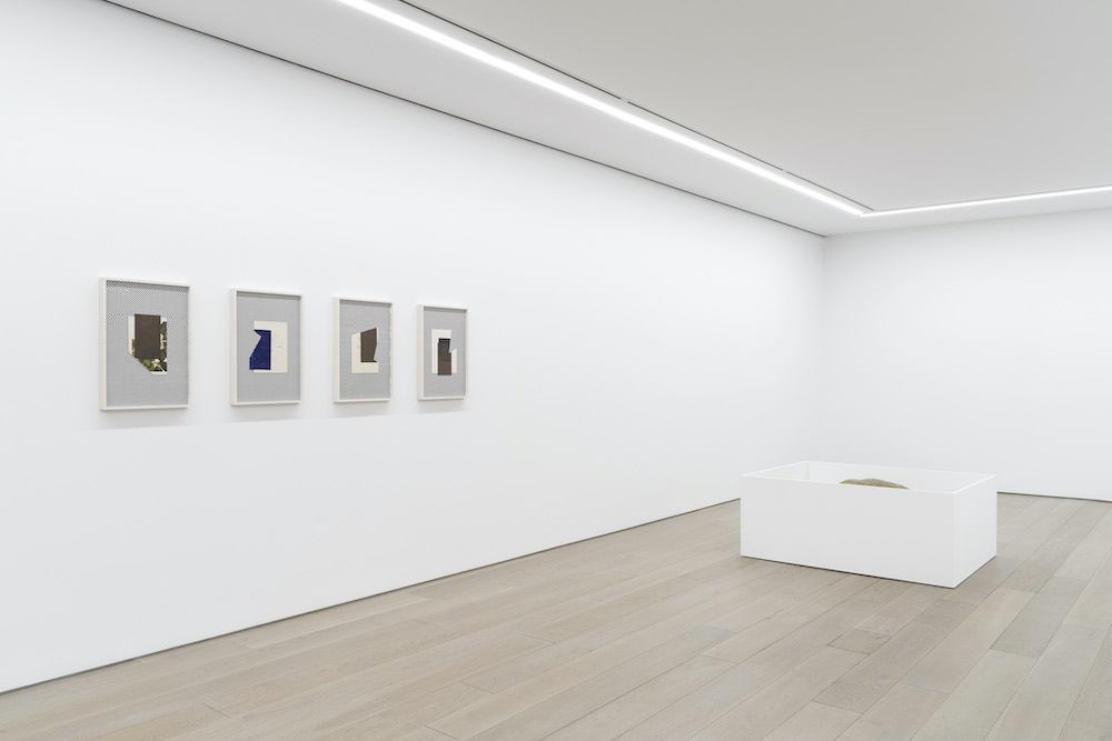 Leslie Hewitt Perrotin 