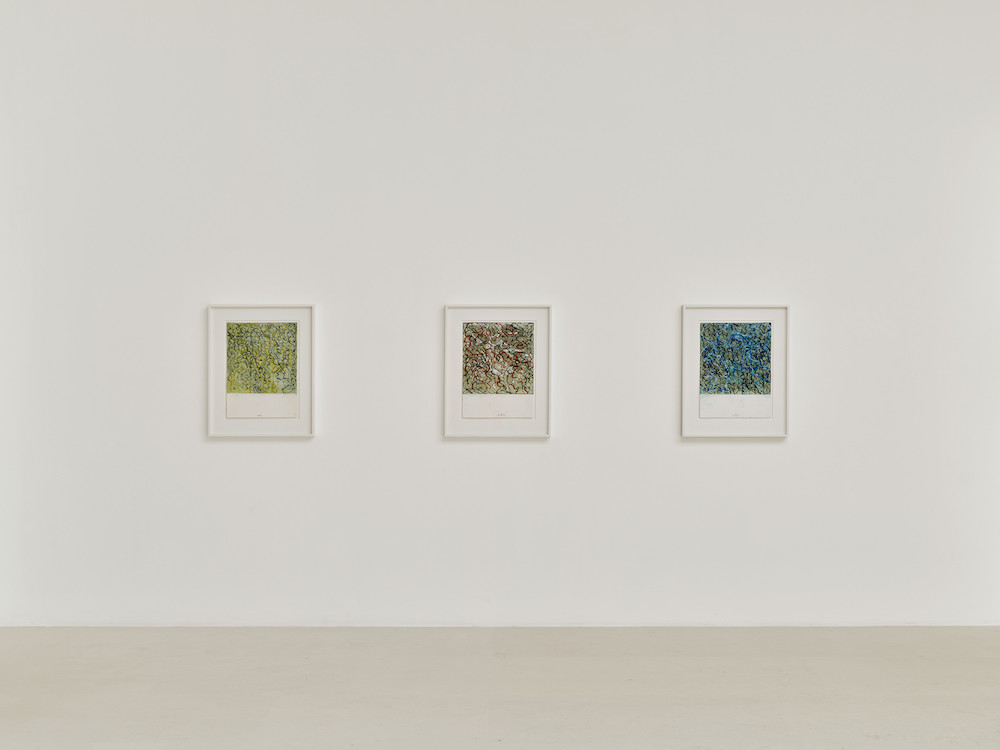 Brice Marden Gagosian 