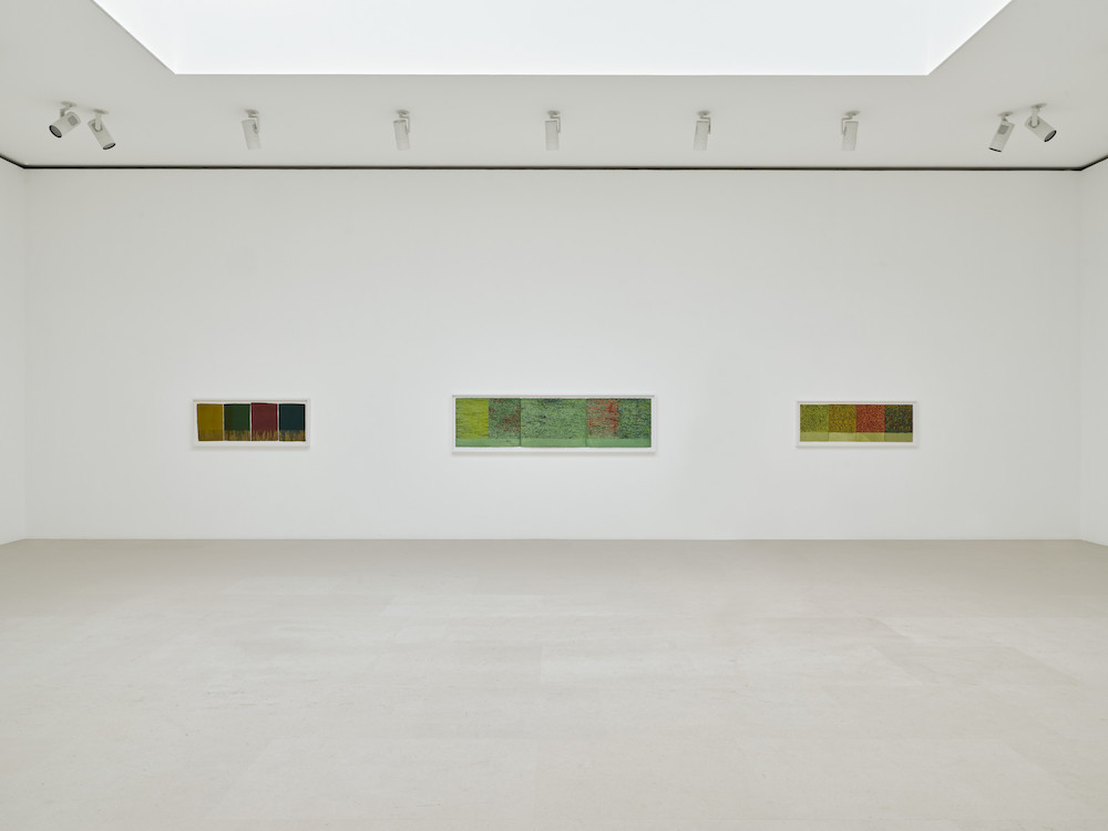 Brice Marden Gagosian 
