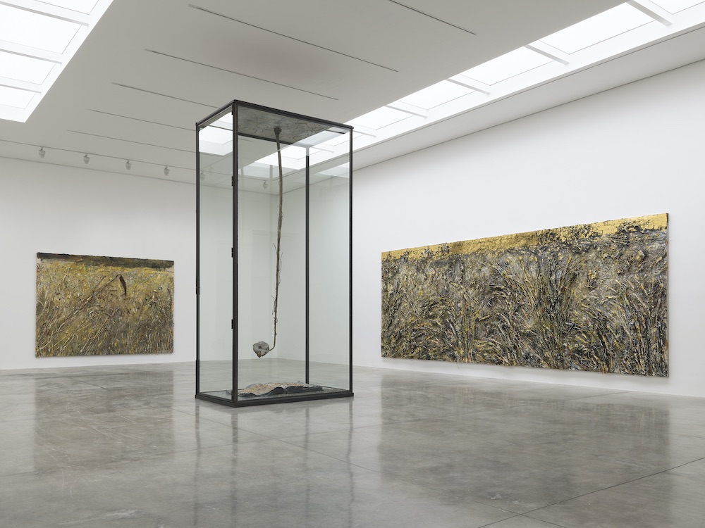Anselm Kiefer White Cube 