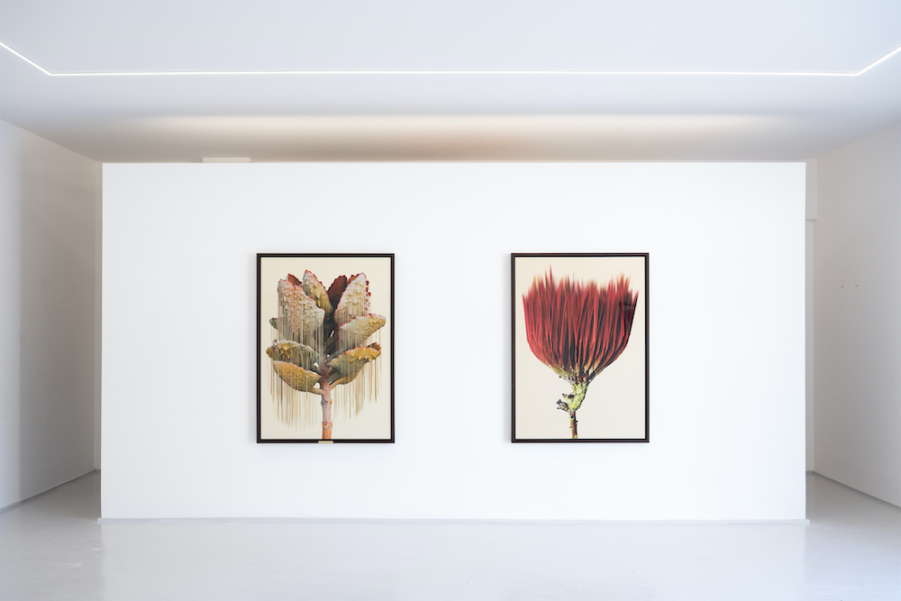 Vincent Fournier Au Cube 