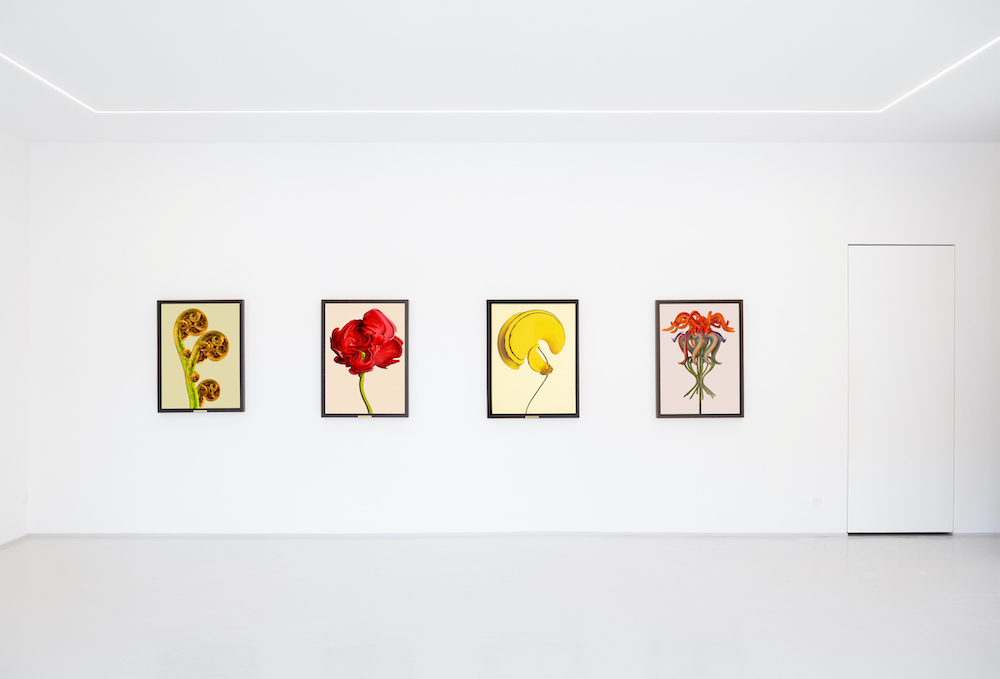 Vincent Fournier Au Cube 