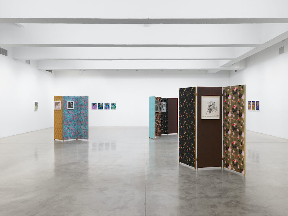 Lisa Oppenheim  Tanya Bonakdar Gallery 