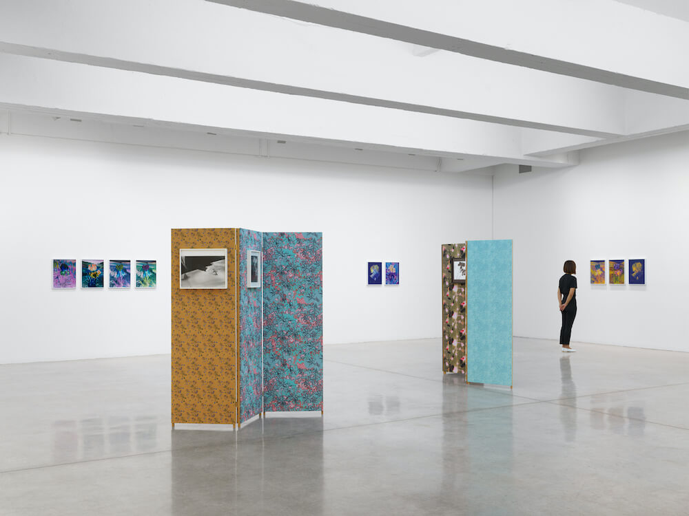 Lisa Oppenheim  Tanya Bonakdar Gallery 