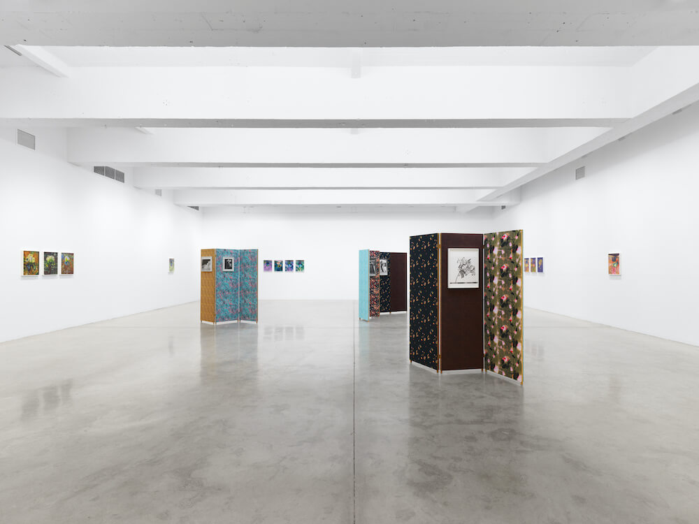 Lisa Oppenheim  Tanya Bonakdar Gallery 