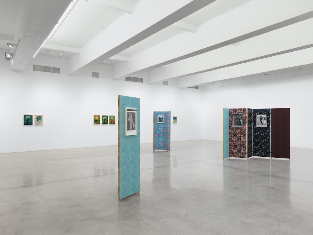 Lisa Oppenheim  Tanya Bonakdar Gallery 