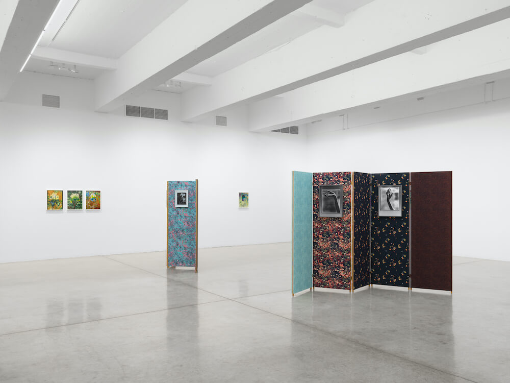 Lisa Oppenheim  Tanya Bonakdar Gallery 