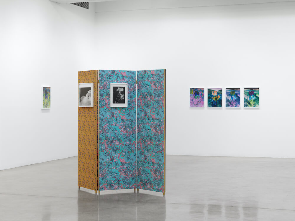 Lisa Oppenheim  Tanya Bonakdar Gallery 