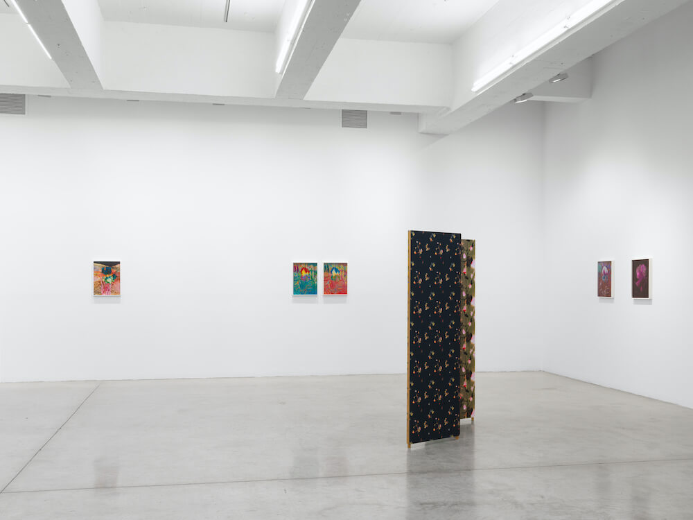 Lisa Oppenheim  Tanya Bonakdar Gallery 